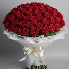 Букет 101 Красная роза Блэк Мэджик в Новотитаровской