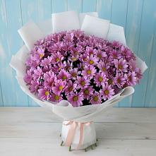 Букет цветов из:  Хризантемы в Новотитаровской