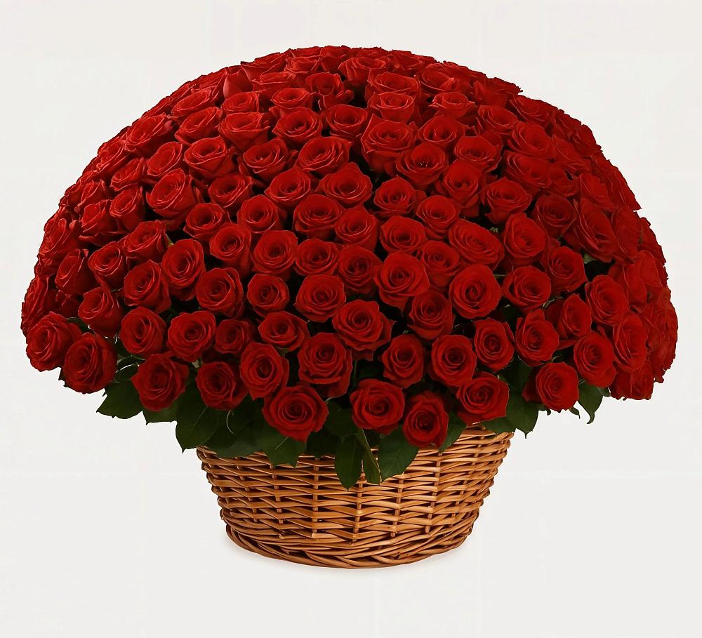 Премиум букет из: Розы в Новотитаровской