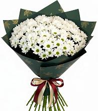 Букет цветов из:  Хризантемы в Новотитаровской