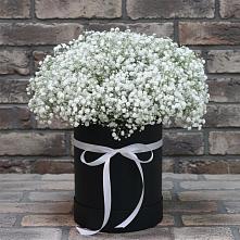 Цветочная композиция из Гипсофила в шляпной коробке в Новотитаровской