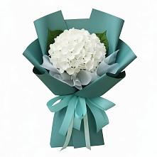 Букет цветов из:  Гортензия в Новотитаровской
